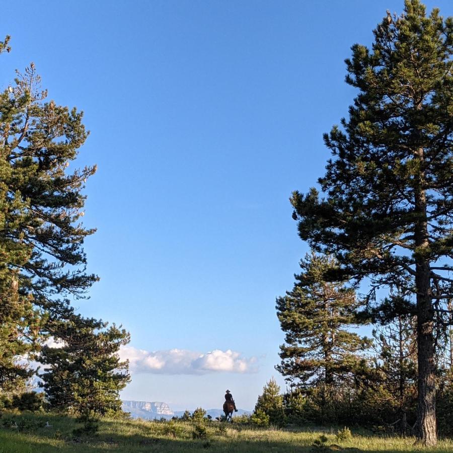 Отель Farma Sotira Leskovik Экстерьер фото