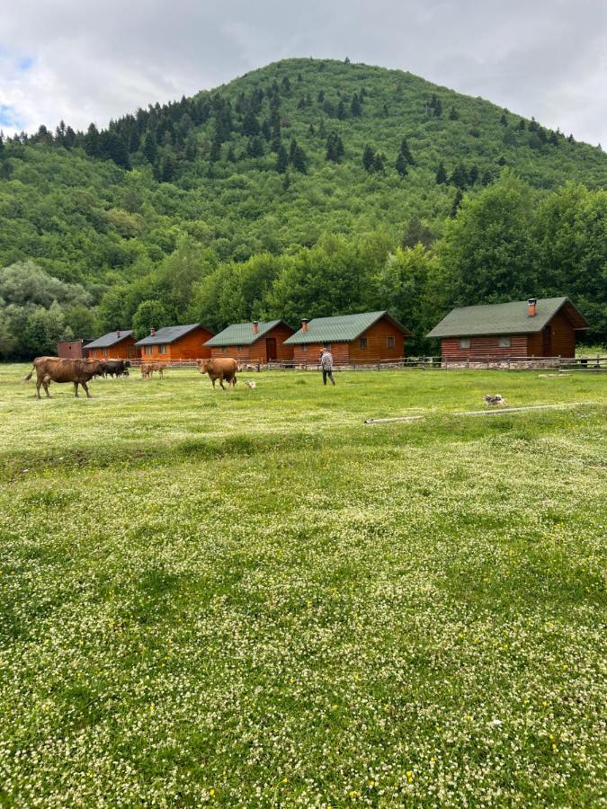 Отель Farma Sotira Leskovik Экстерьер фото