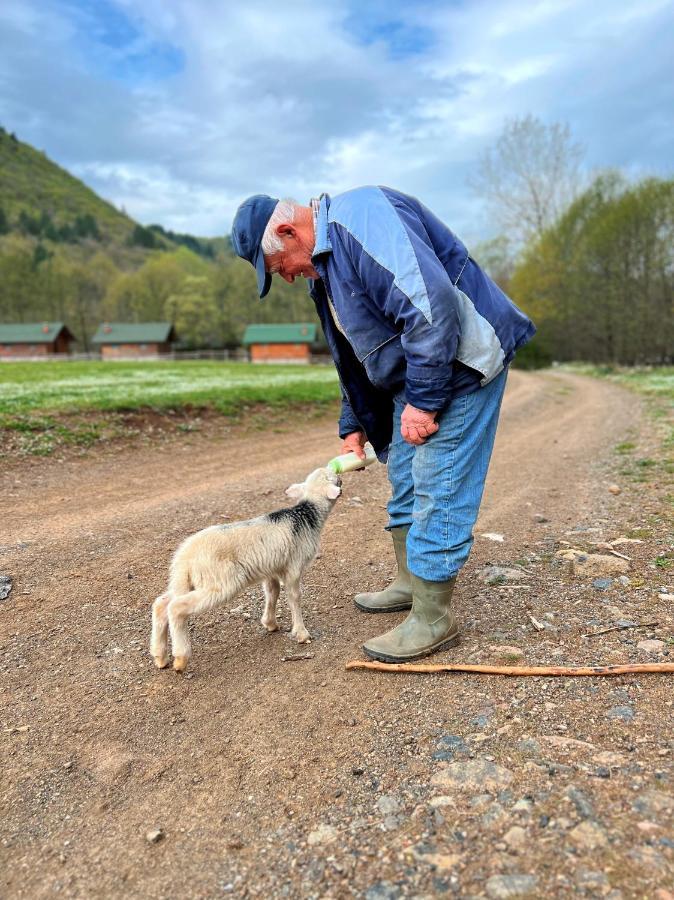 Отель Farma Sotira Leskovik Экстерьер фото