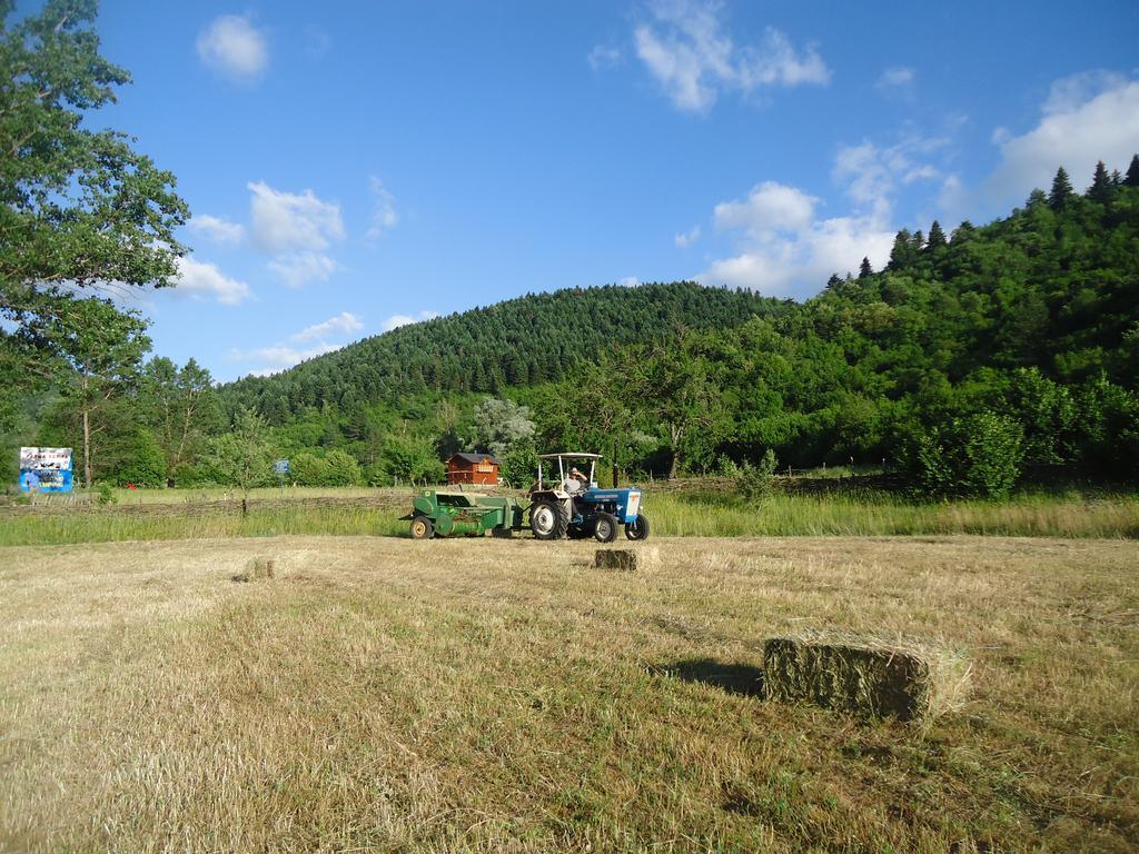Отель Farma Sotira Leskovik Номер фото