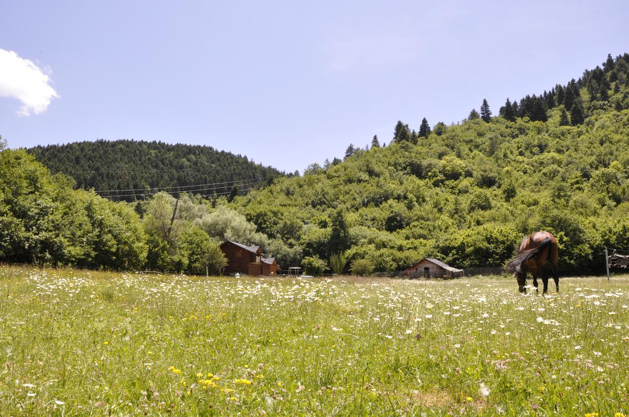 Отель Farma Sotira Leskovik Экстерьер фото